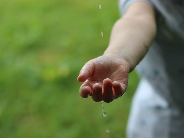 gestion de la ressource en eau, biodiversité, recyclage